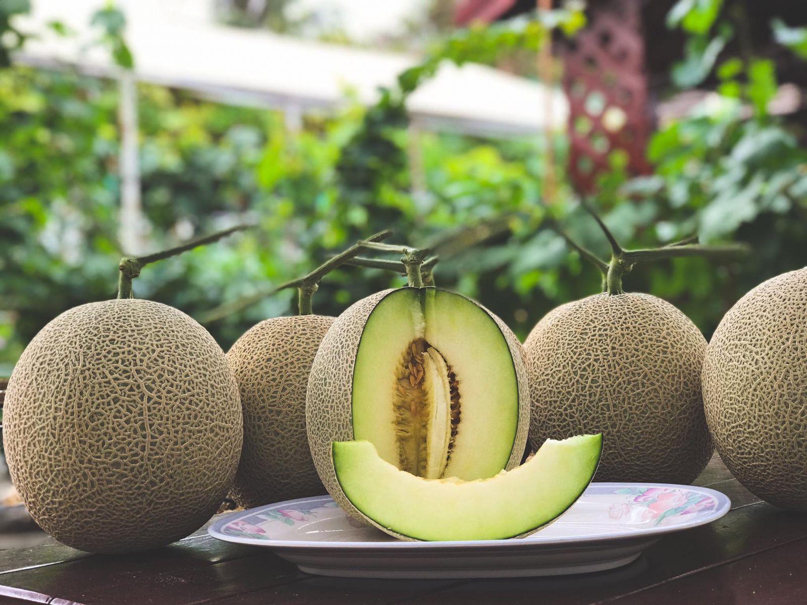 10's point of the beautiful melon farm which guarantees that all